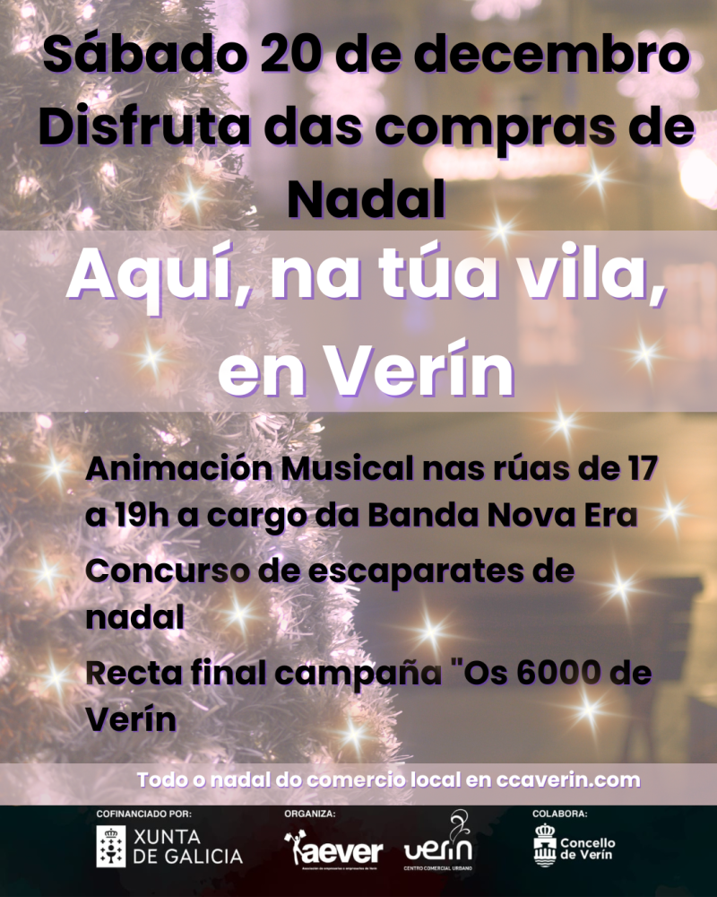 Animación musical Aever Verín